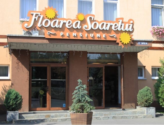 Pensiunea Floarea Soarelui - image - 0