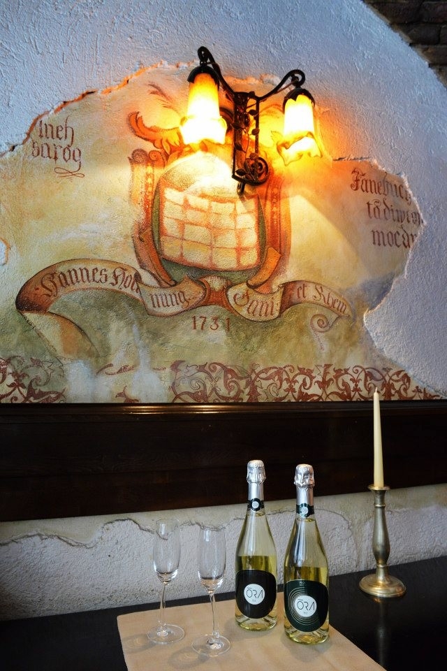 Casa Hirscher - image - 3