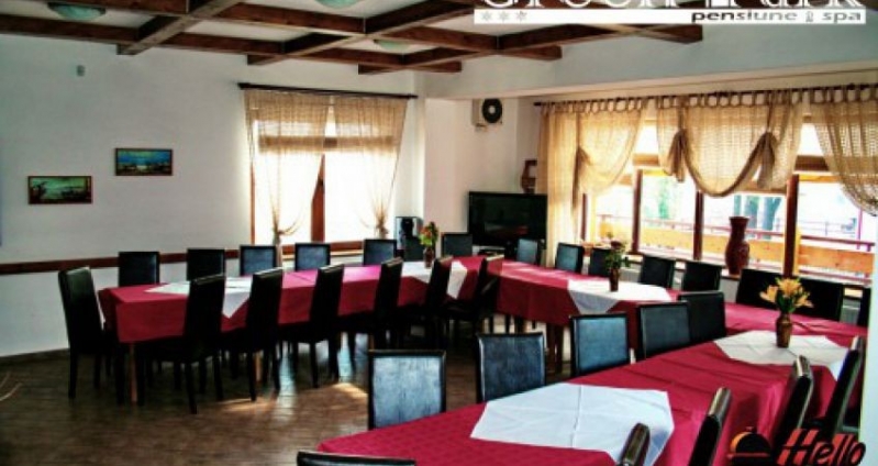 Pensiunea Green Park Brasov - image - 3