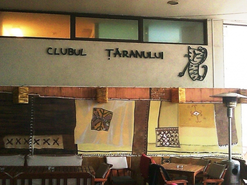 Clubul Taranului (Muzeul Taranului Roman) - image - 1