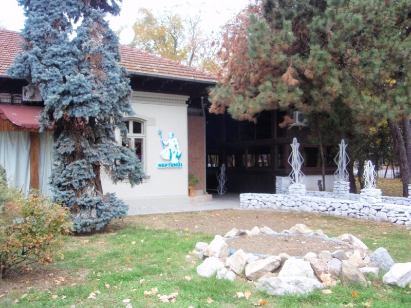 Restaurant Neptunus Bucuresti - image - 4