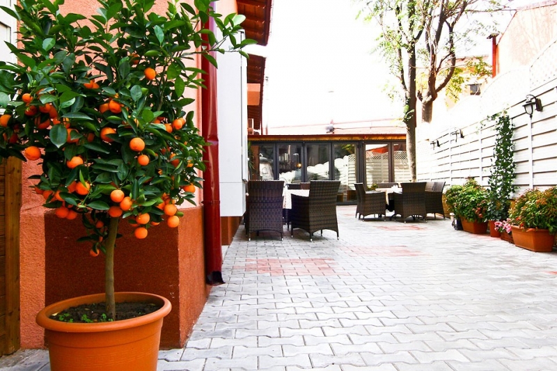 Il Mulino - image - 1