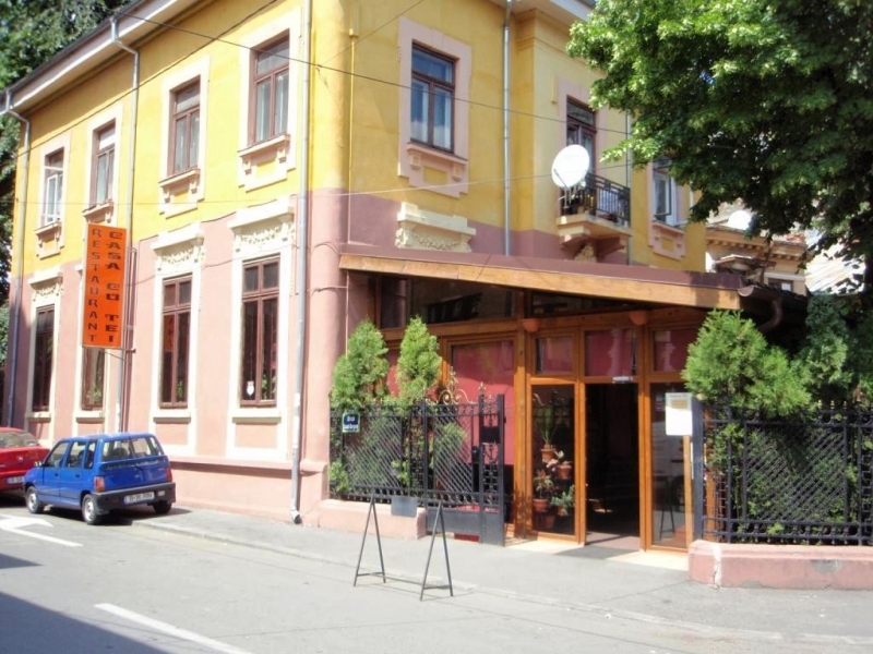 Casa cu tei - image - 0