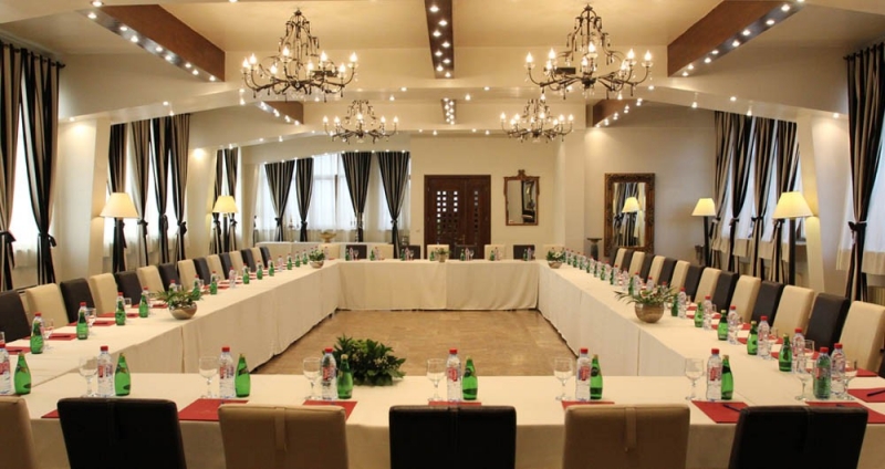 Hotel Domenii Plaza - image - 2