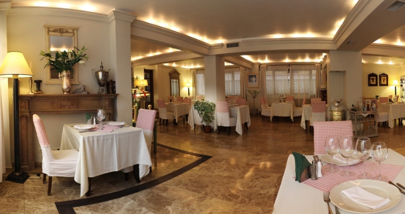 Hotel Domenii Plaza - image - 3