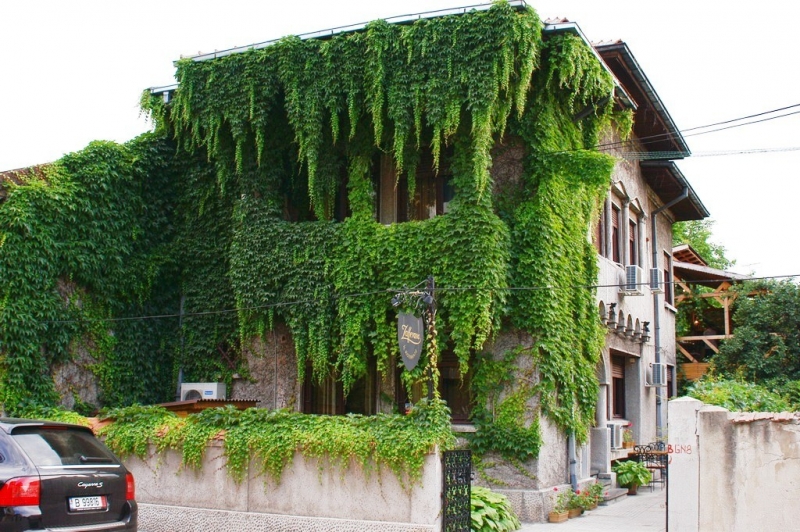 Zaffe Restaurant & Terrace (fost Zafferano) - image - 0