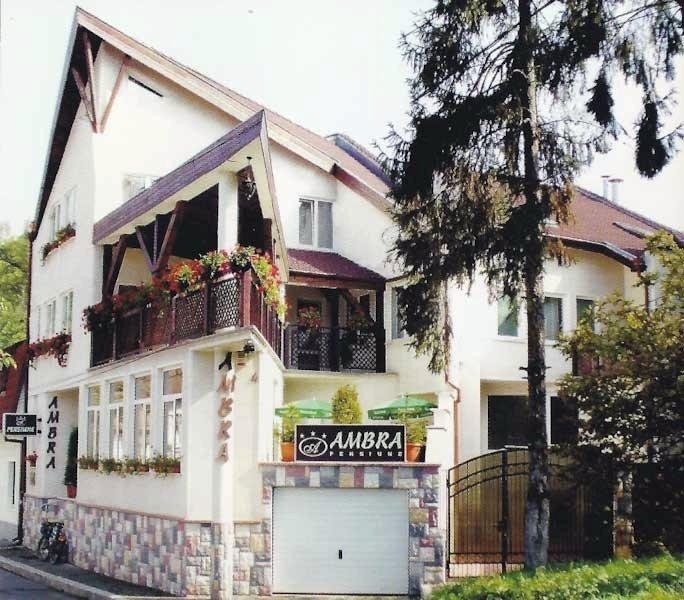 Pensiunea Ambra - image - 0