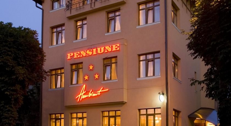 Pensiunea Ambient - image - 0