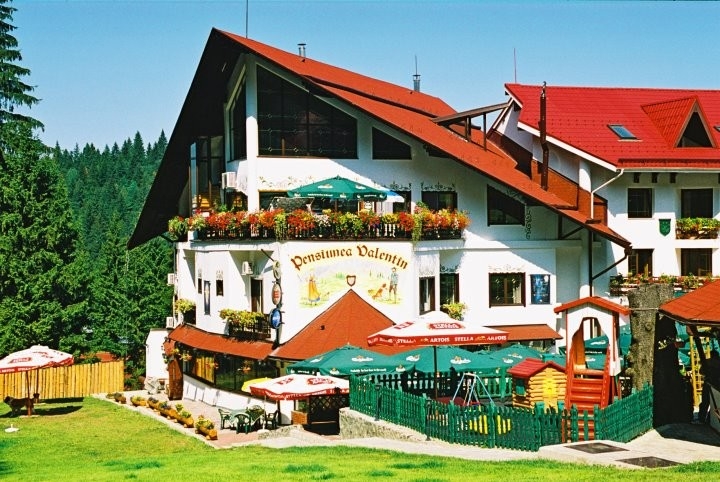 Pensiunea Valentin - image - 2