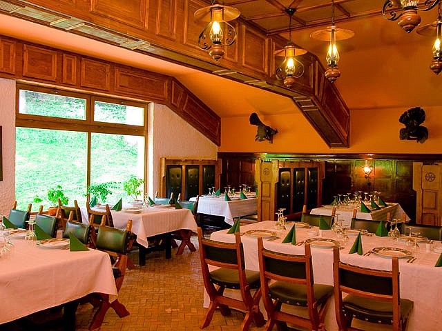 Restaurant Vanatorul (Casa Emil) - image - 3