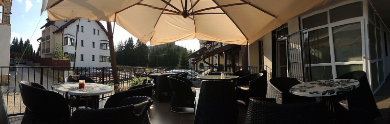 Pensiunea Mont Blanc - image - 2