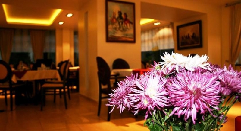 Pensiunea Orizont Poiana Brasov - image - 4