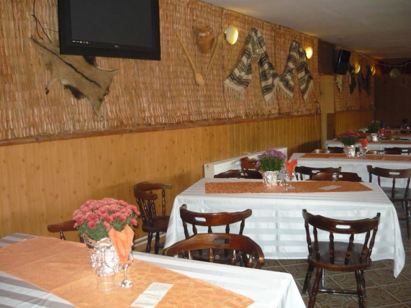 Restaurant Pescarus Brasov - image - 3