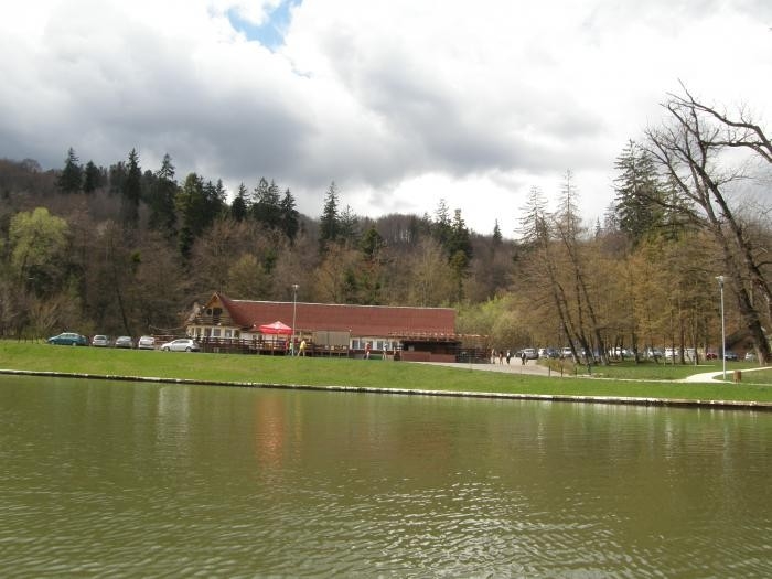 Restaurant Pescarus Brasov - image - 4