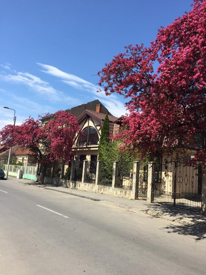 Restaurant Romantik - image - 0