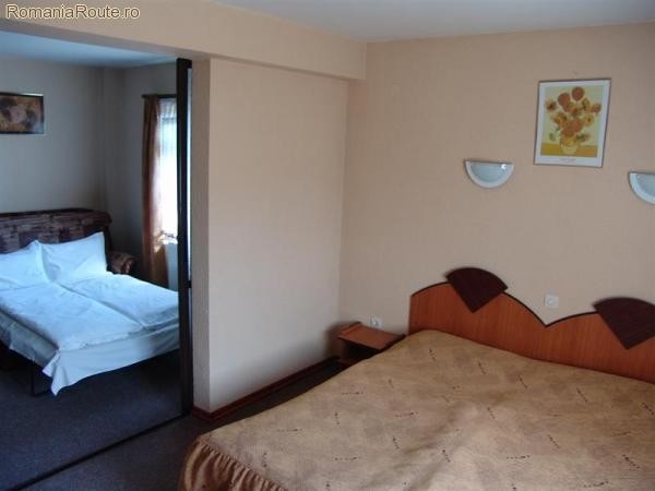 Pensiunea Mury - image - 4