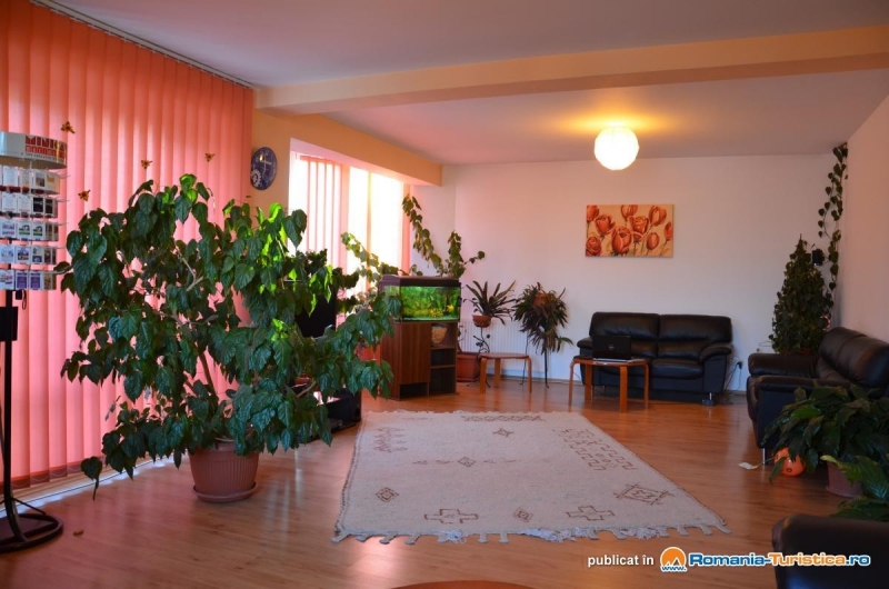 Pensiunea Riunione - image - 3