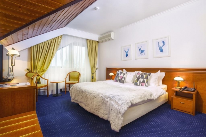 Hotel Drachenhaus Poiana Brasov - image - 4