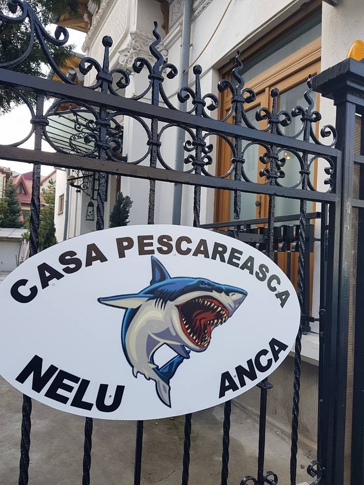 Casa Pescareasca Nelu Anca - image - 4