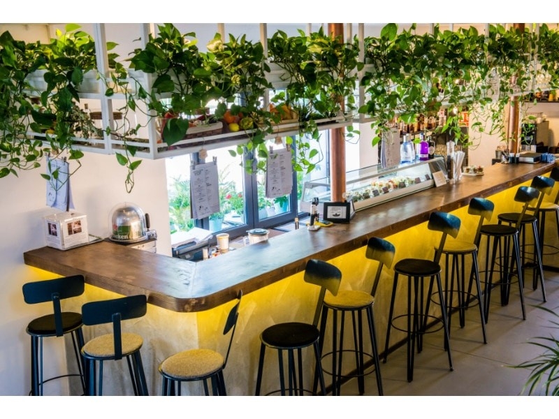 Restaurant Agape - image - 2