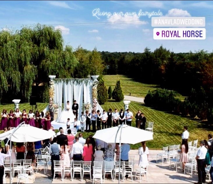 Royal Horse - image - 2