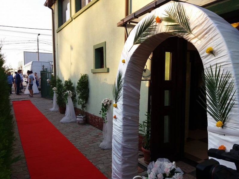 Restaurant Pisica Salbatica - image - 0