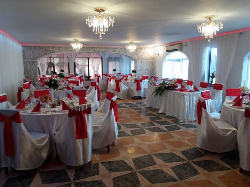 Restaurant Pisica Salbatica - image - 4