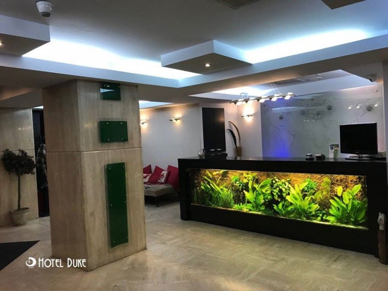 Hotel Duke Armeneasca (Ex.Tempo) - image - 4