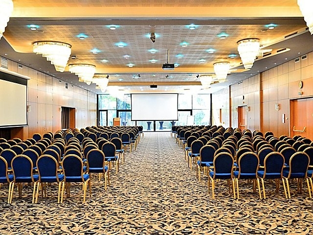 Crowne Plaza - image - 4