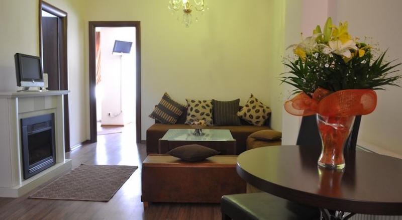 AVE Boutique hotel Victoriei - image - 3