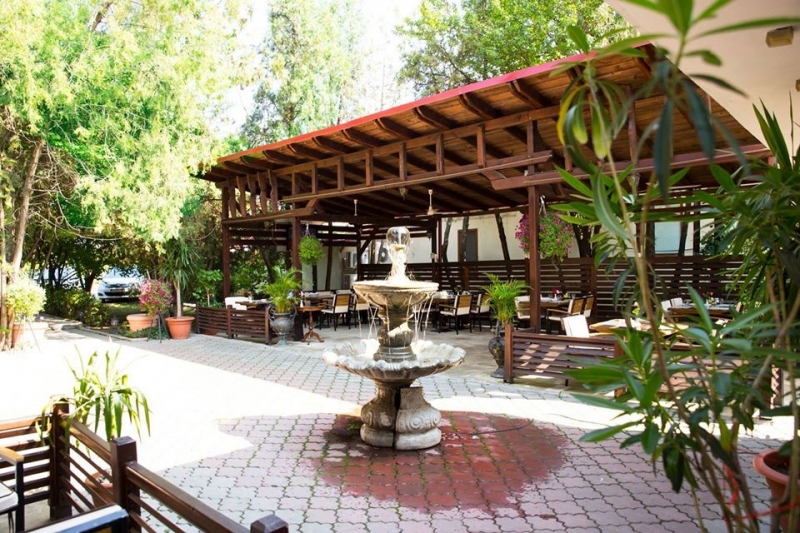 Chez Toni Restaurant - image - 3