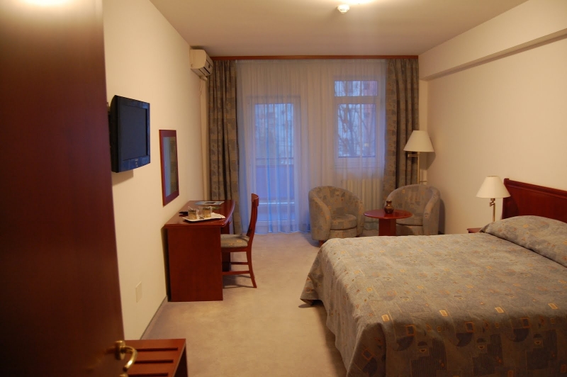 Hotel Maria Constanta - image - 4