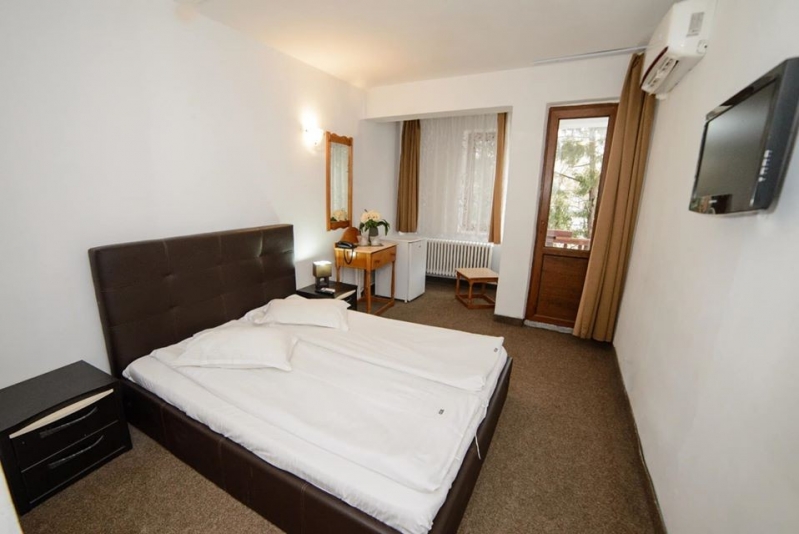 Hotel Dobrogea - image - 4