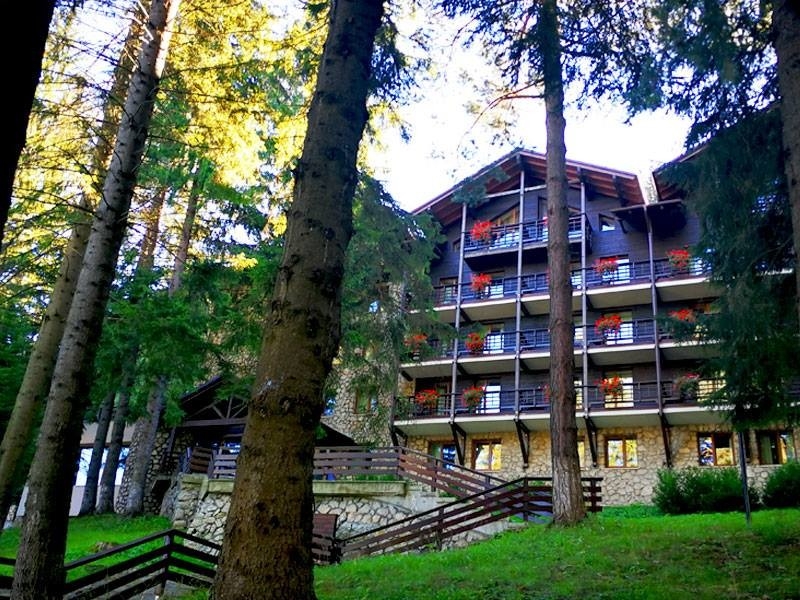 Hotel Bradul Ana Hotels - image - 0