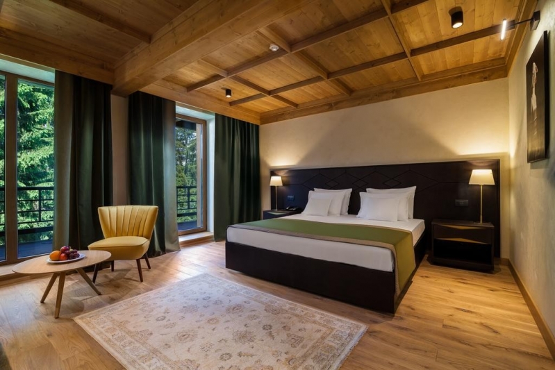 Hotel Bradul Ana Hotels - image - 4