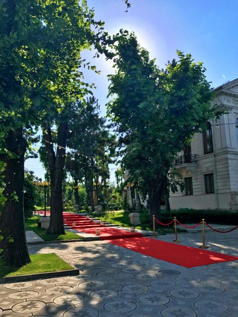 Palatul Ghica Tei - image - 3