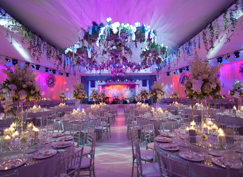 Biavati Events - image - 1